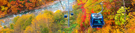 Autumn Foliage in Seibu Prince Hotels & Resorts